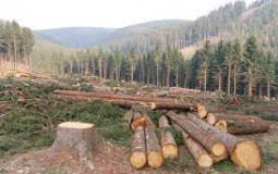 Global warming tier list